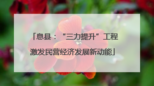 息县：“三力提升”工程 激发民营经济发展新动能